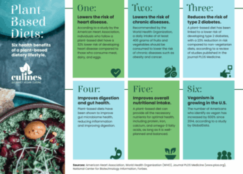 Plant-Based Diets: Health Benefits, Tips for Success, and Essential ...