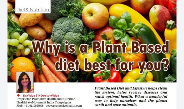 Plant based diet and lifestyle : Why it is best for you? - Health Vision